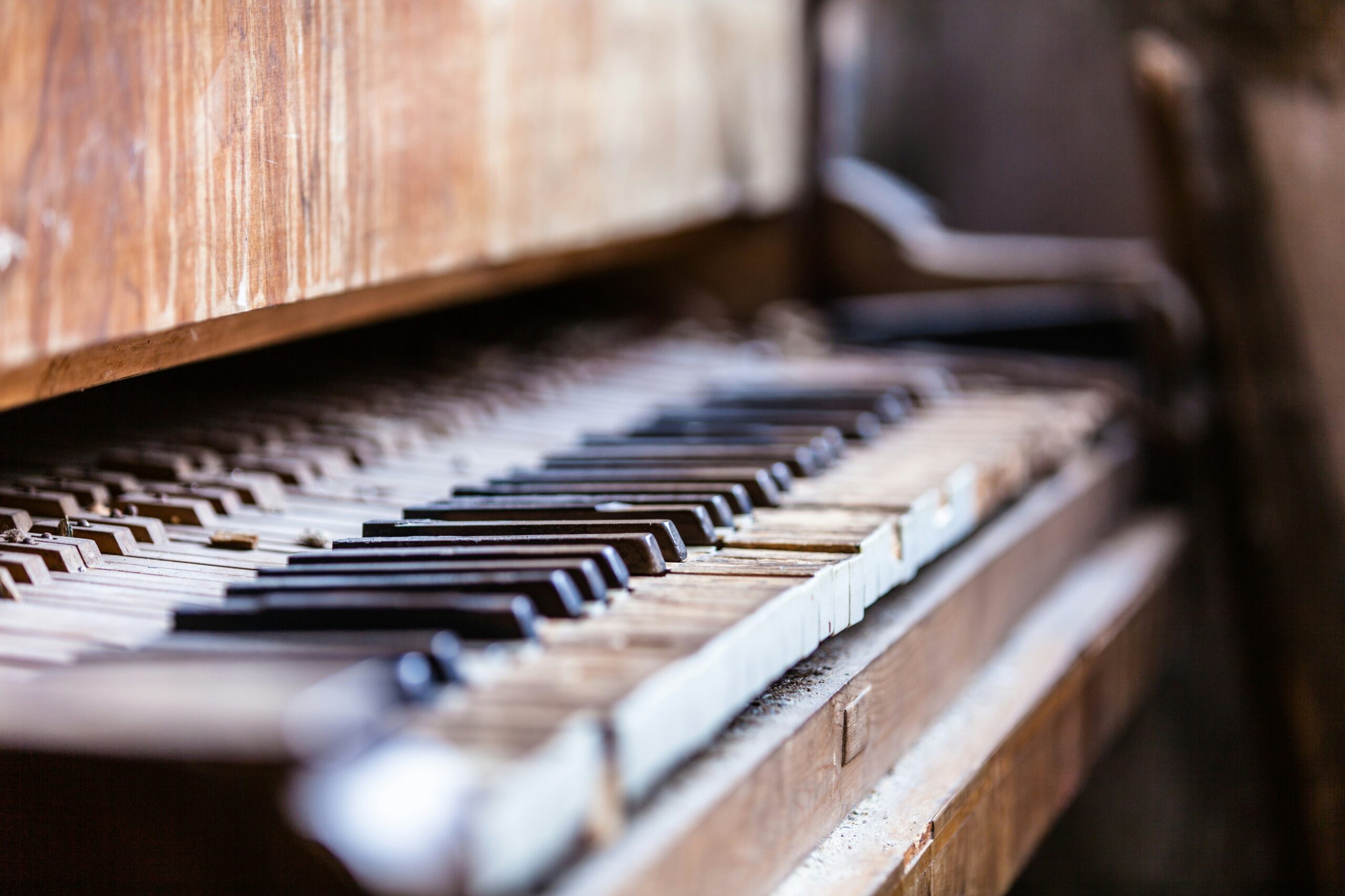 markus-petritz-lUkcnjyFkYQ-unsplash